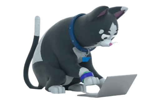 Kasimir the Cat