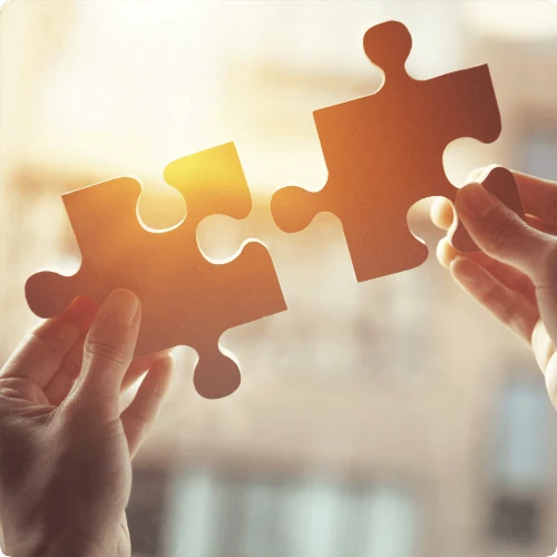 Community Puzzle
